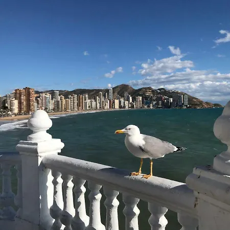 New Modern Flat Apartment Benidorm